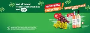 Ziar promoțional Froo, valabil de la 2025-05-16 până la 2025-05-18.