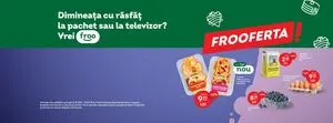 Ziar promoțional Froo, valabil de la 2025-05-21 până la 2025-06-03.