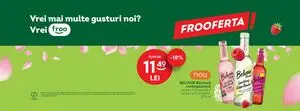 Ziar promoțional Froo, valabil de la 2025-08-27 până la 2025-09-09.