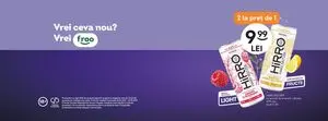 Ziar promoțional Froo, valabil de la 2025-06-18 până la 2025-09-30.