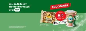 Ziar promoțional Froo, valabil de la 2025-12-17 până la 2026-01-06.