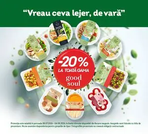 Ziar promoțional Froo, valabil de la 2026-07-08 până la 2026-08-04.