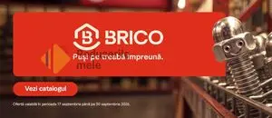 Brico
