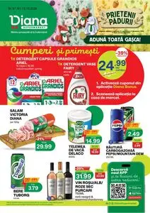 Ziar promoțional Diana, valabil de la 2026-10-01 până la 2026-10-15.