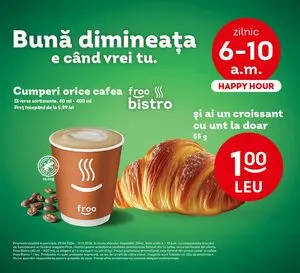 Ziar promoțional Froo, valabil de la 2026-04-29 până la 2026-12-31.